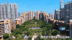 交通的太长